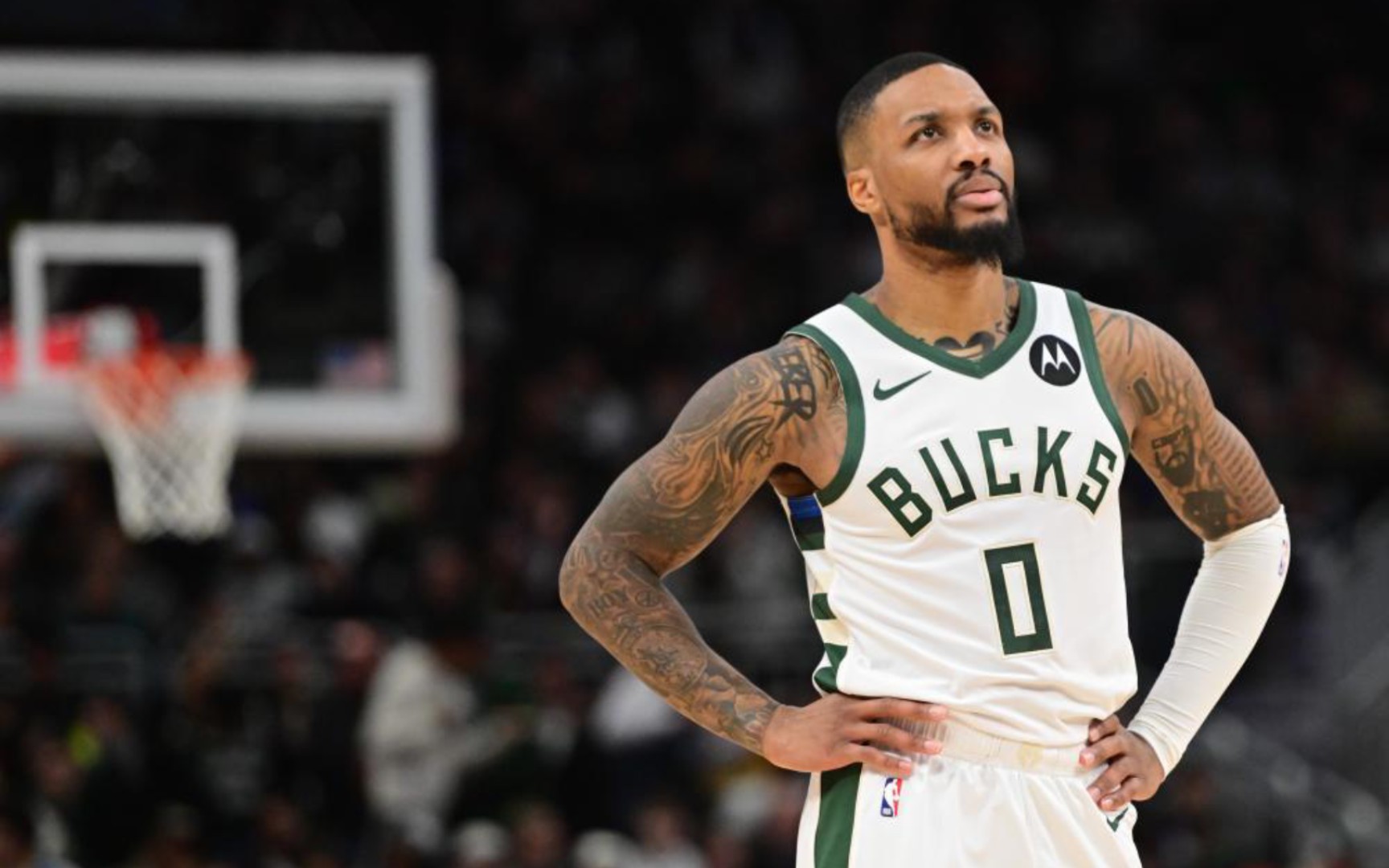 自然会走向 自然会走向