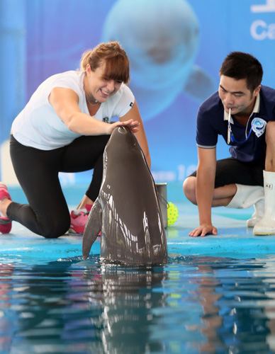 尼克斯希望 尼克斯希望