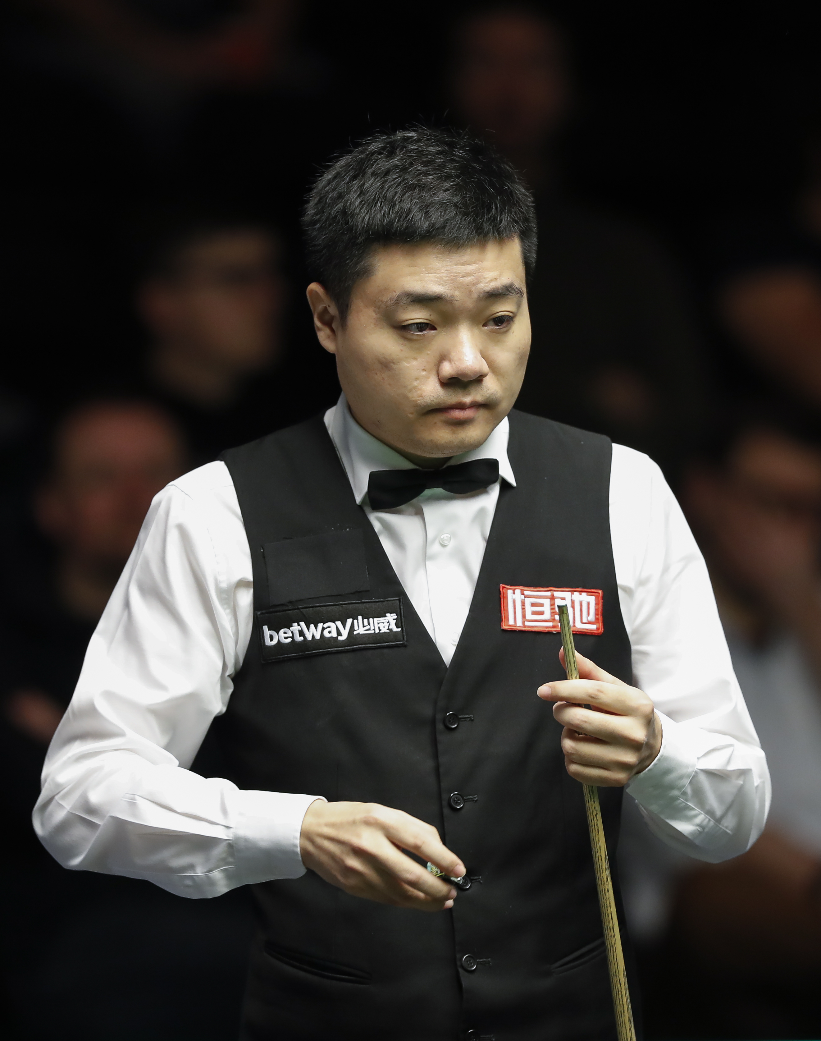 篮网新生力 篮网新生力